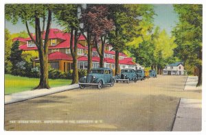 'Sugar Maples, Maplecrest in the Catskills N.Y.'  Unused Metrocraft New York PPC