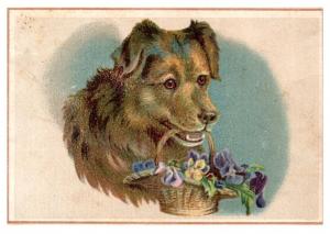 Dogs ,Flowers ,   Victorian  Card