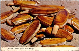 Shellfish Razor Clams From The Pacific