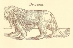 Animals. Lion. De Leone Fine drawing, modern English postcard