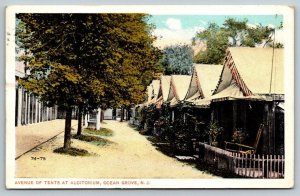 Ocean Grove  Avenue of Tents at Auditorium  New Jersey  Postcard   1916