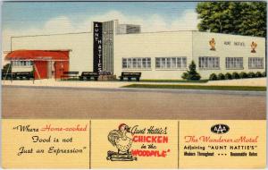 ST PETERSBURG, FL  AUNT HATTIES Chicken in the WOOPILE  c40s Roadside Postcard 