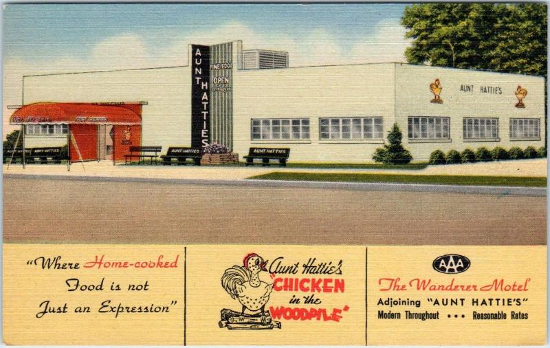 ST PETERSBURG, FL  AUNT HATTIES Chicken in the WOOPILE  c40s Roadside Postcard