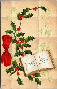 Vtg 1910s Xmas Joys Holly Berries Book Embossed Christmas Greetings Postcard