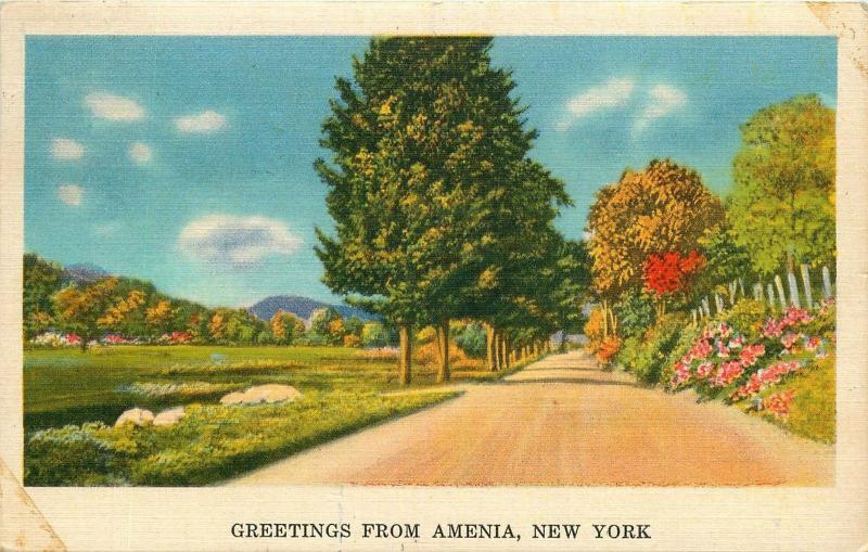 AMENIA NEW YORK GREETINGS FROM POSTCARD 1937