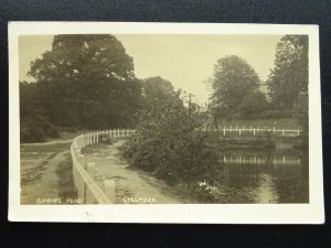 Hertfordshire SYANMORE Spring Pond c1918 RP Postcard by Ale Cooke, Bushey Heath