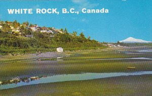 Canada Beach Scene White Rock British Columbia