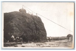 South Dakota SD Postcard RPPC Photo Harvesting Hay Farming Field c1910's Antique