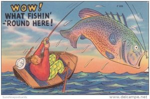 Fishing Humour Wow What Fishin' 'Round Here