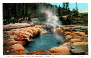 Yellowstone National Park Oblong Getser Crater Haynes Photo