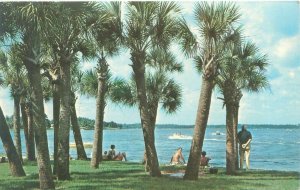 Tarpon Springs Florida Anderson Park  Chrome Postcard Unused