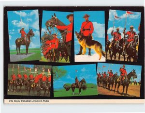 Postcard The Royal Canadian Mounted Police Canada