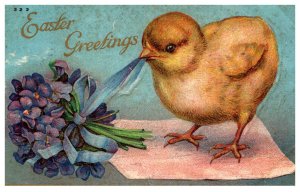 Easter    Chick pulling Ribbon