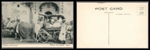 British India Antique Vintage Post Card Bullock Cart (Sagar) Jaipur Unused