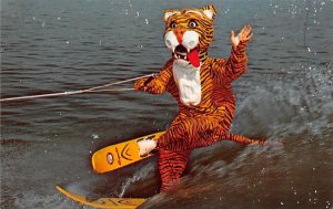 Timmy the Tiger Water Ski Show