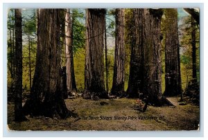 Vintage The Seven Sisters Stanley Park Vancouver Canada. Postcard F145E