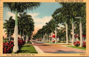 Florida Punta Gorda Royal Palms Along Marion Avenue 1948 Curteich