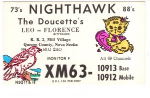 Nighthawk Bird, Kitten, Mill Village, Queens County, Nova Scotia, QSL Postcard,