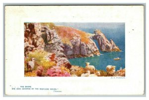 Vintage 1908 Tuck's Postcard Lambs by the Ocean Thomson Poem