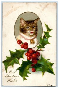 c1905 Christmas Cute Cat Holly Berries Embossed Nash Somerset Wisconsin Postcard