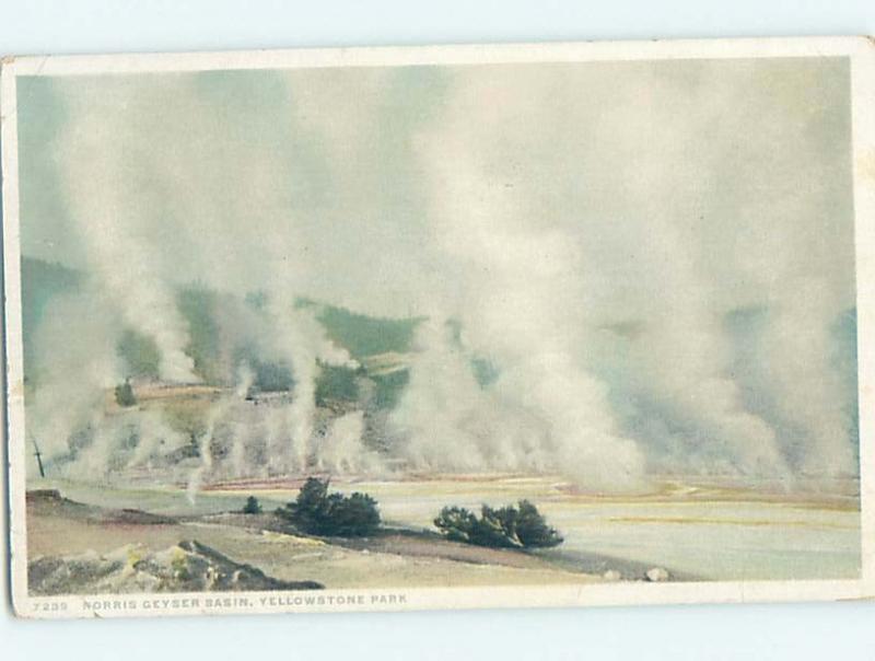 Divided-Back NORRIS GEYSER BASIN Yellowstone National Park Wyoming WY H3942