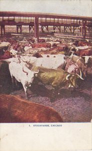 Illinois Chicago Cattle Pens At The Union Stockyards 1911