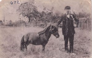 Owner With Mini Baby Horse Donkey Antique Worn Postcard