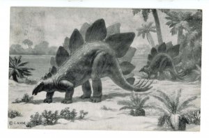 IL - Chicago. Natural History Museum, Armored Dinosaur Stegosaurus