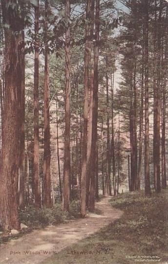 Pine Woods Walk Lakewood New Jersey Handcolored Albertype