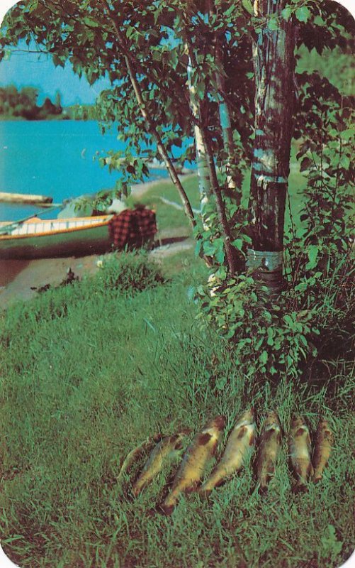 Walleyed Pike - Fishing A Vacation Scene (published in Wisconsin)