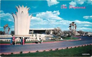 1950s Tropicana Hotel autos Las Vegas Nevada Western Resort postcard 3639