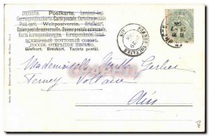 Old Postcard Cat Cats Kitten