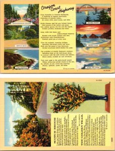 2~Postcards OR, OREGON COAST HIGHWAY Scenic Roadside Views & SCOTCH BROOM Poems