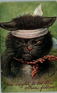 c1910 Arthur Thiele Signed Tuff Black Cat Bandages Anthropomorphic Postcard 7-1 