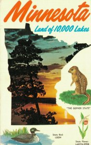 USA Minnesota Land of 10000 Lakes Vintage Postcard 07.35