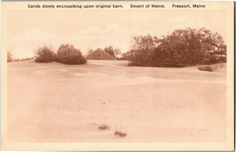 Sand Dunes Encroaching On Barn, Desert of Maine Freeport ME Postcard H06