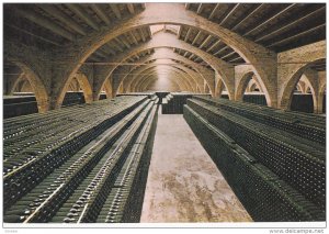 BARCELONA, Cataluna, Spain, 1950-1970´s; Botellas Envejeciendo, Cavas Rondel