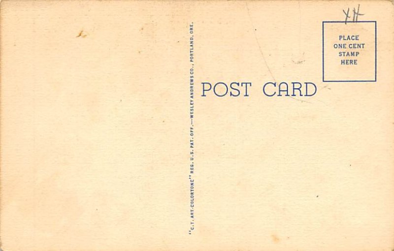 State Highway through Forests Misc , Oregon OR Postcard