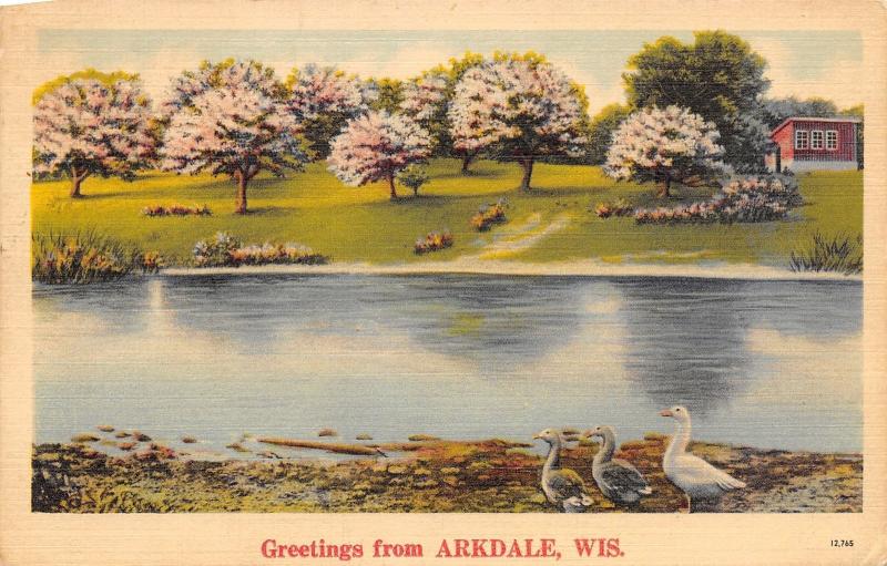 Arkdale Wisconsin~Ducks on Lake Shore~Flowering Trees~1943 Linen Postcard