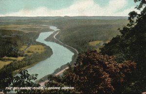 ?Vintage Postcard 1910's View of The Delaware River Looking North DE