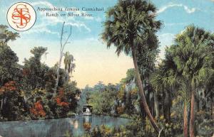 Silver Springs Florida Carmichael Ranch Approach Waterfront Postcard K72755