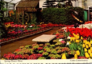 Minnesota St Paul Como Park Spring Flower Show