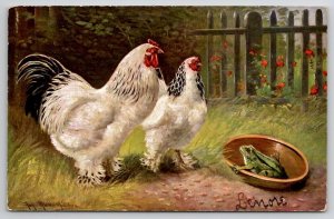 White Hens Find SURPRISE Frog In The Food Bowl Artist M. Muller Postcard W26