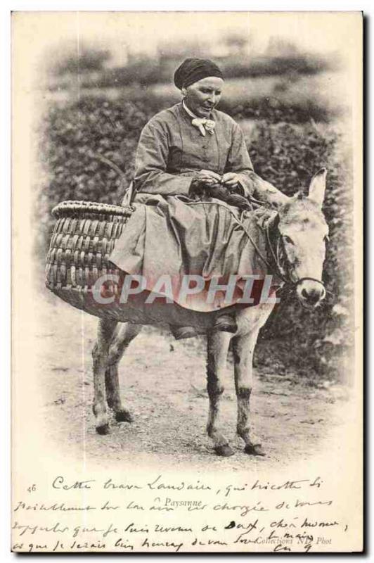 Old Postcard Peasant Donkey Donkey TOP