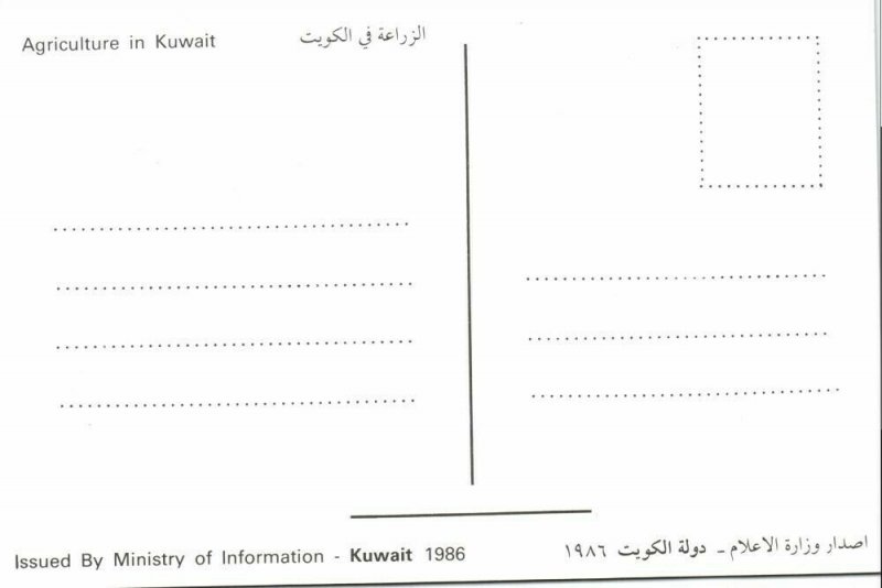 Kuwait, Kuwait City مدينة الكويت, Agriculture Farming Vegetables Fruit (1986) 1