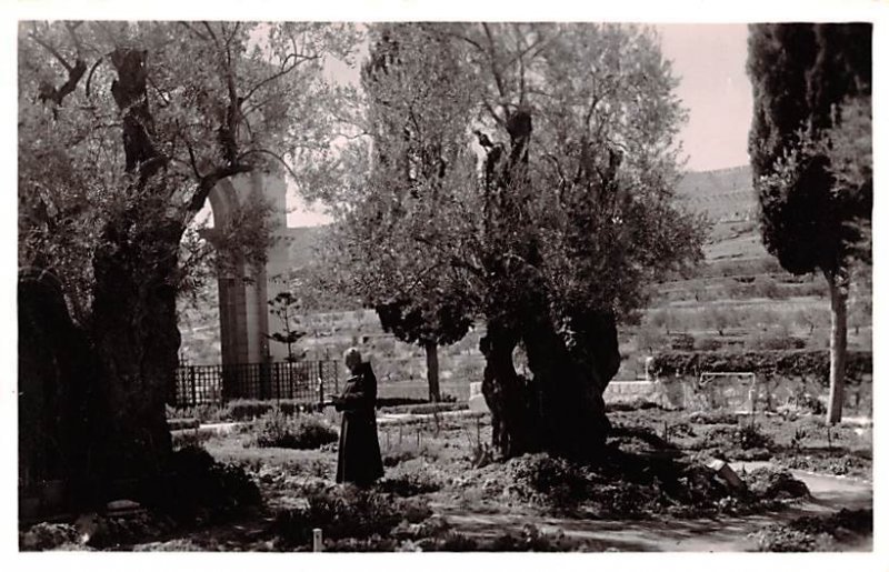 Garden of Gethsemane Jordan Unused 