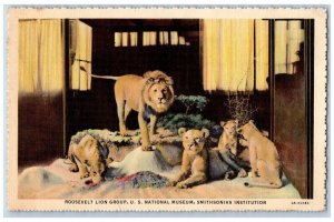 Oxford Pennsylvania Postcard Roosevelt Lion Group National Museum 1940 Vintage