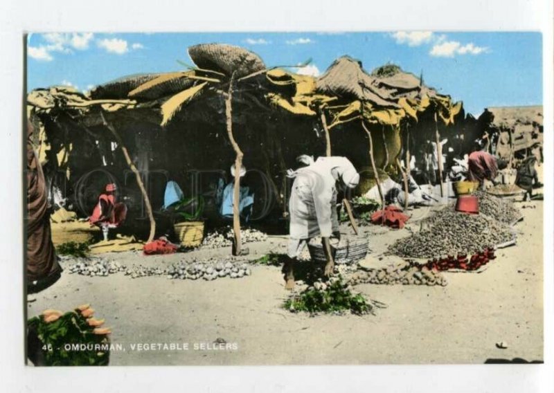 3116833 Sudan OMDURMAN Vegetable Sellers Karakashian Bros photo