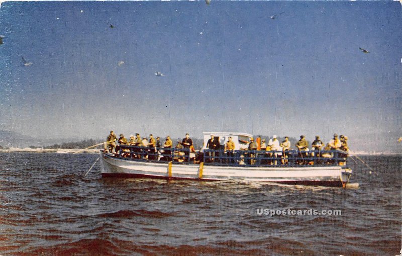 Deep Sea Fishing - Santa Cruz, CA