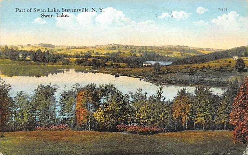 Swan Lake Stevensville, New York NY